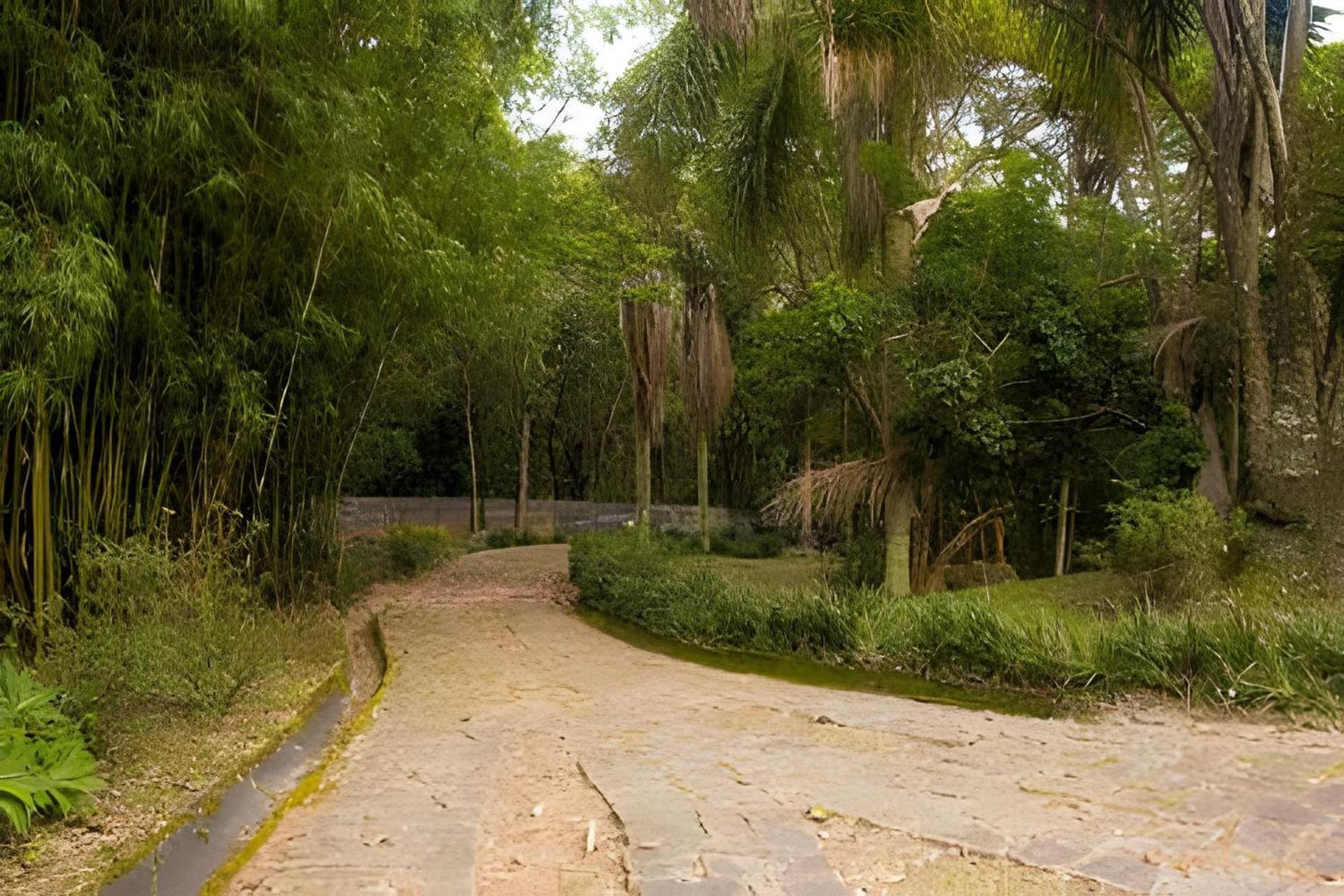 Sitio Em Sao Roque, Paraiso Ao Lado De Sao Paulo! Villa Kültér fotó