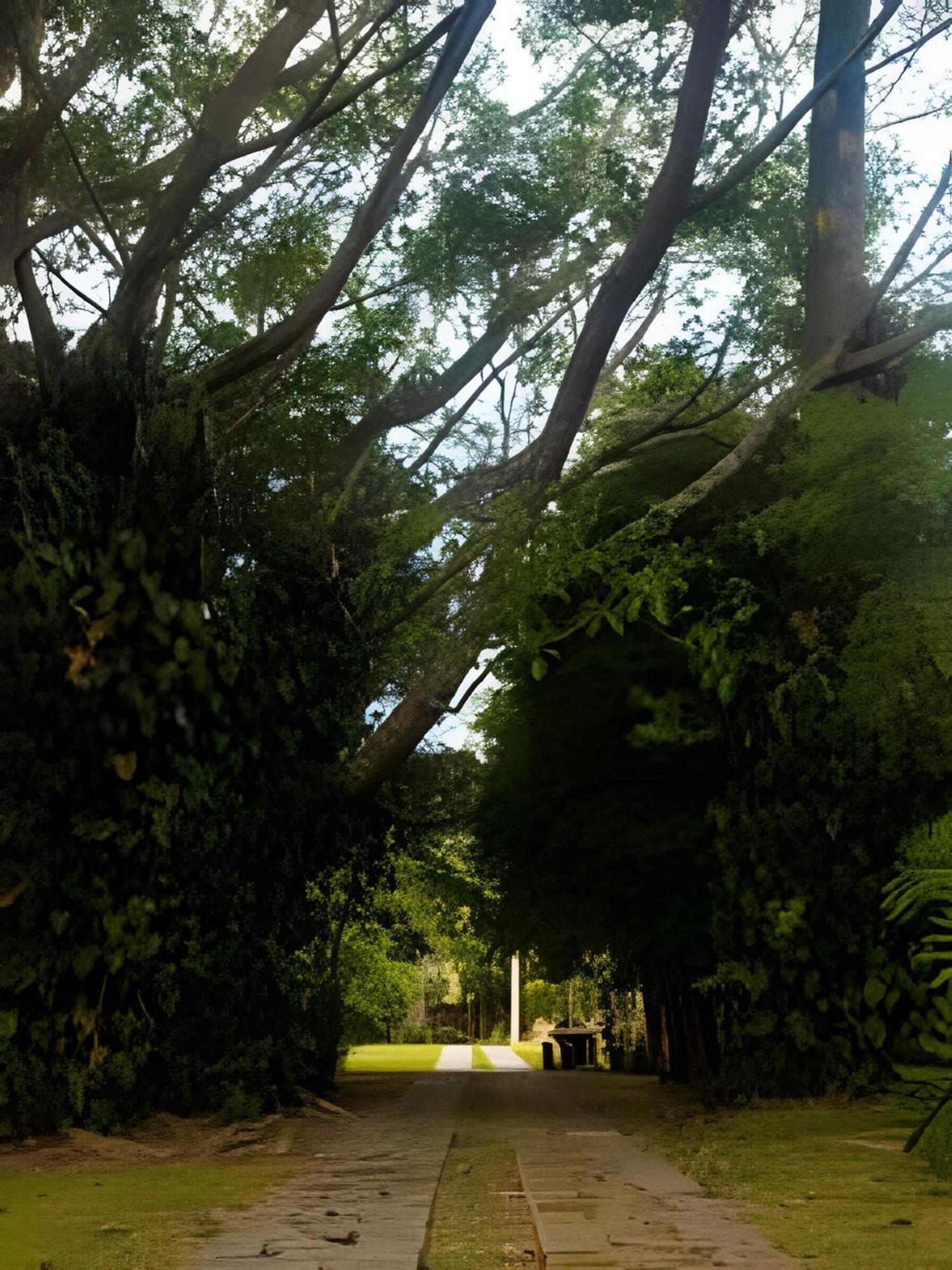 Sitio Em Sao Roque, Paraiso Ao Lado De Sao Paulo! Villa Kültér fotó