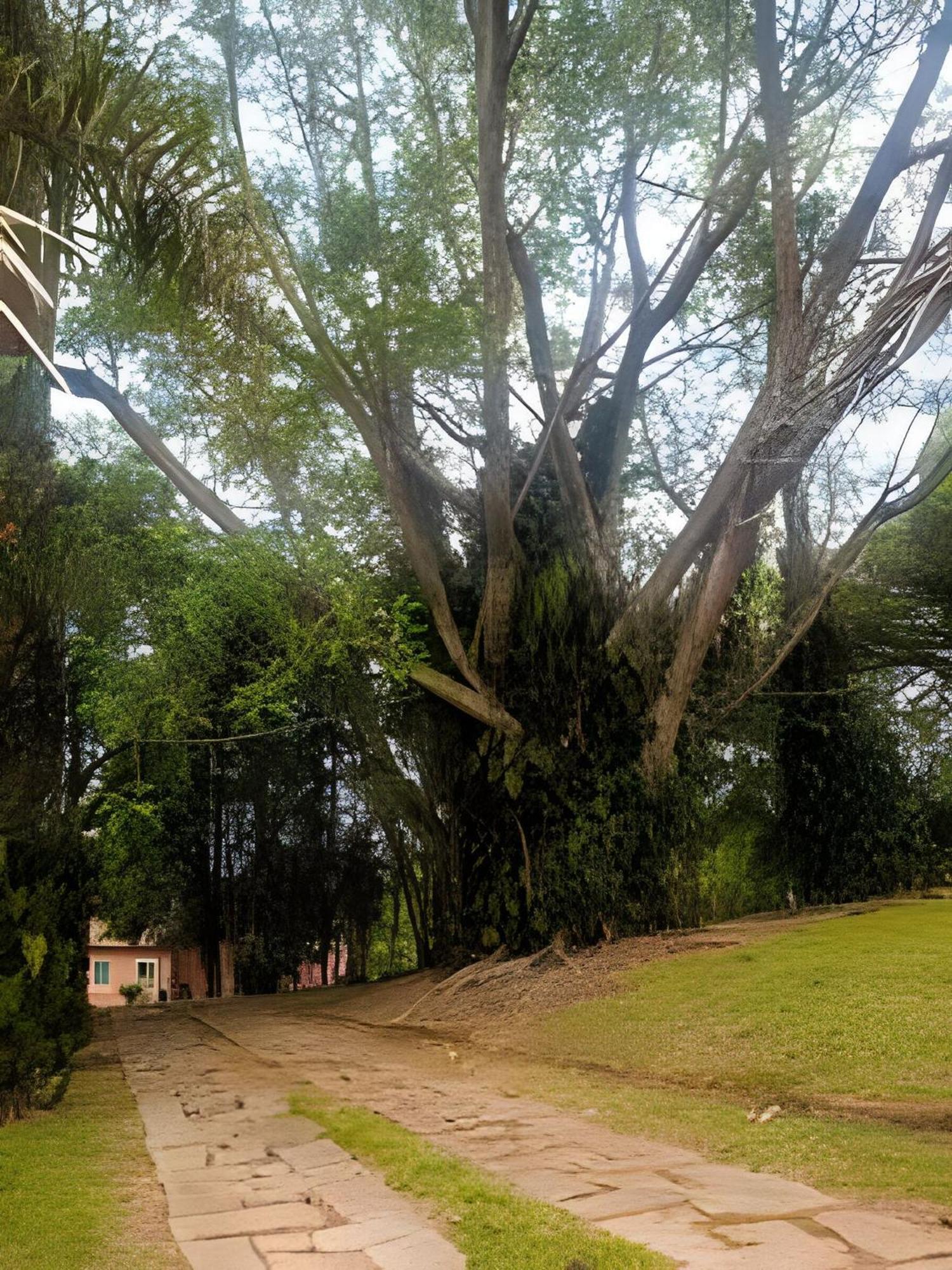 Sitio Em Sao Roque, Paraiso Ao Lado De Sao Paulo! Villa Kültér fotó